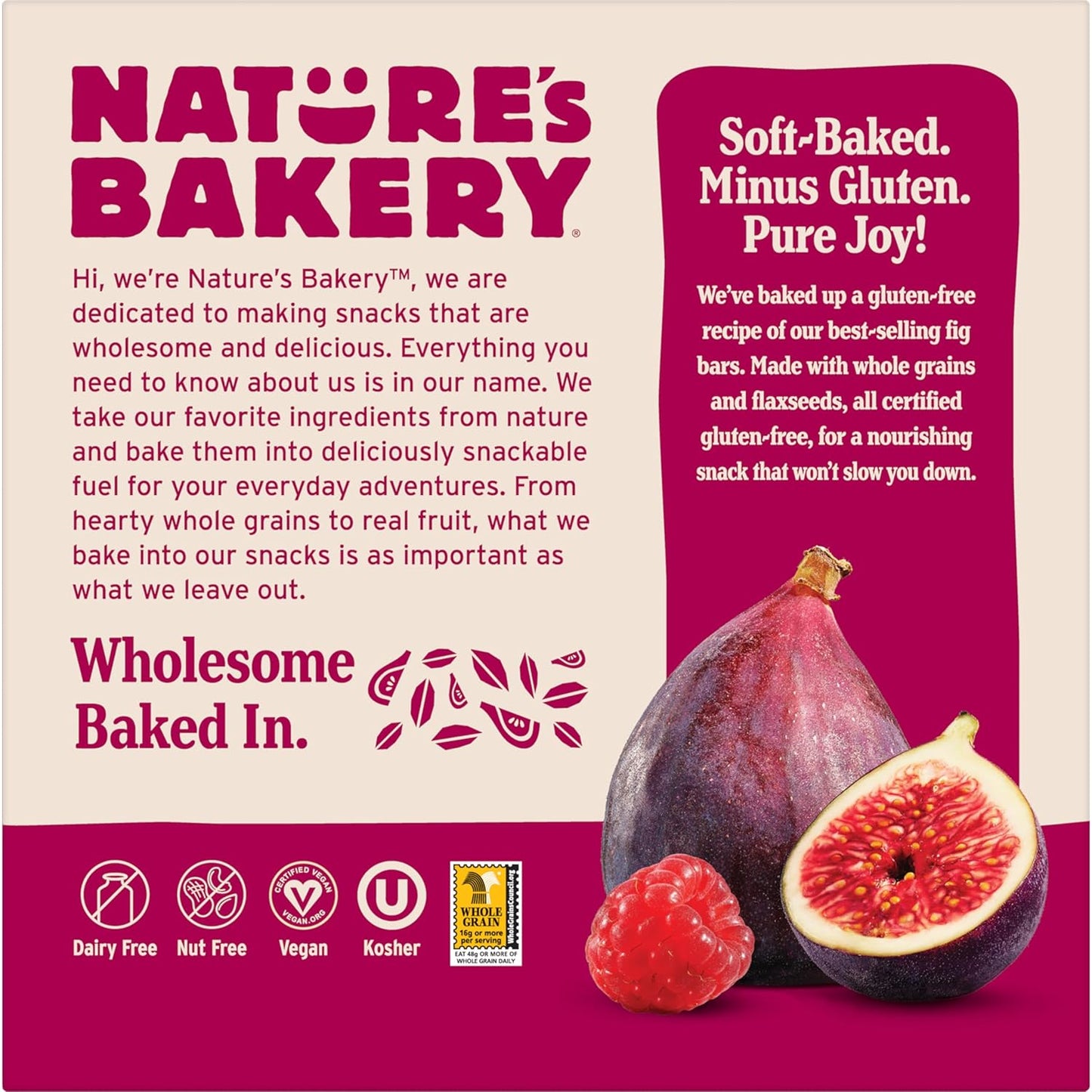 Nature's Bakery Real Fruit Fig Bars – Streamlined Bulk Pack for Restless Eaters