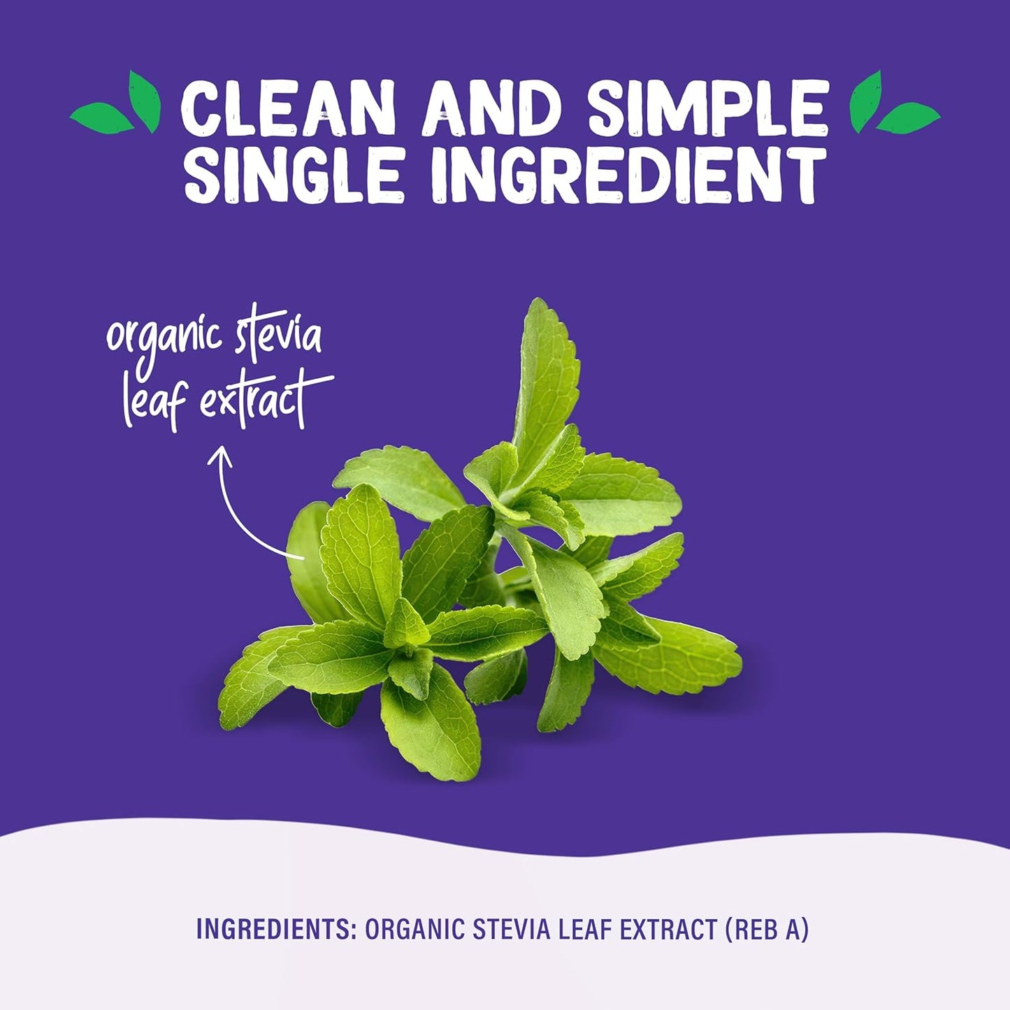 Pyure Organic Stevia Extract Powder – Intentional Home Sweetener for Uncluttered Countertops, 1,000 Servings