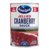 Ocean Spray Cranberry Sauce Canned – Diabetic and Kidney-Friendly Holiday Condiment, 14 Oz Pack of 1