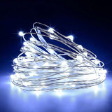 Minimax Home Starry Micro Lights – Valentine's Day & Holiday Gift for Mom, Flexible Silver Wire
