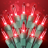 Holiday Charm Multicolor UL Certified String Lights 21ft Green Wire Connecting Up to 105ft for Hedge and Fence Outlines
