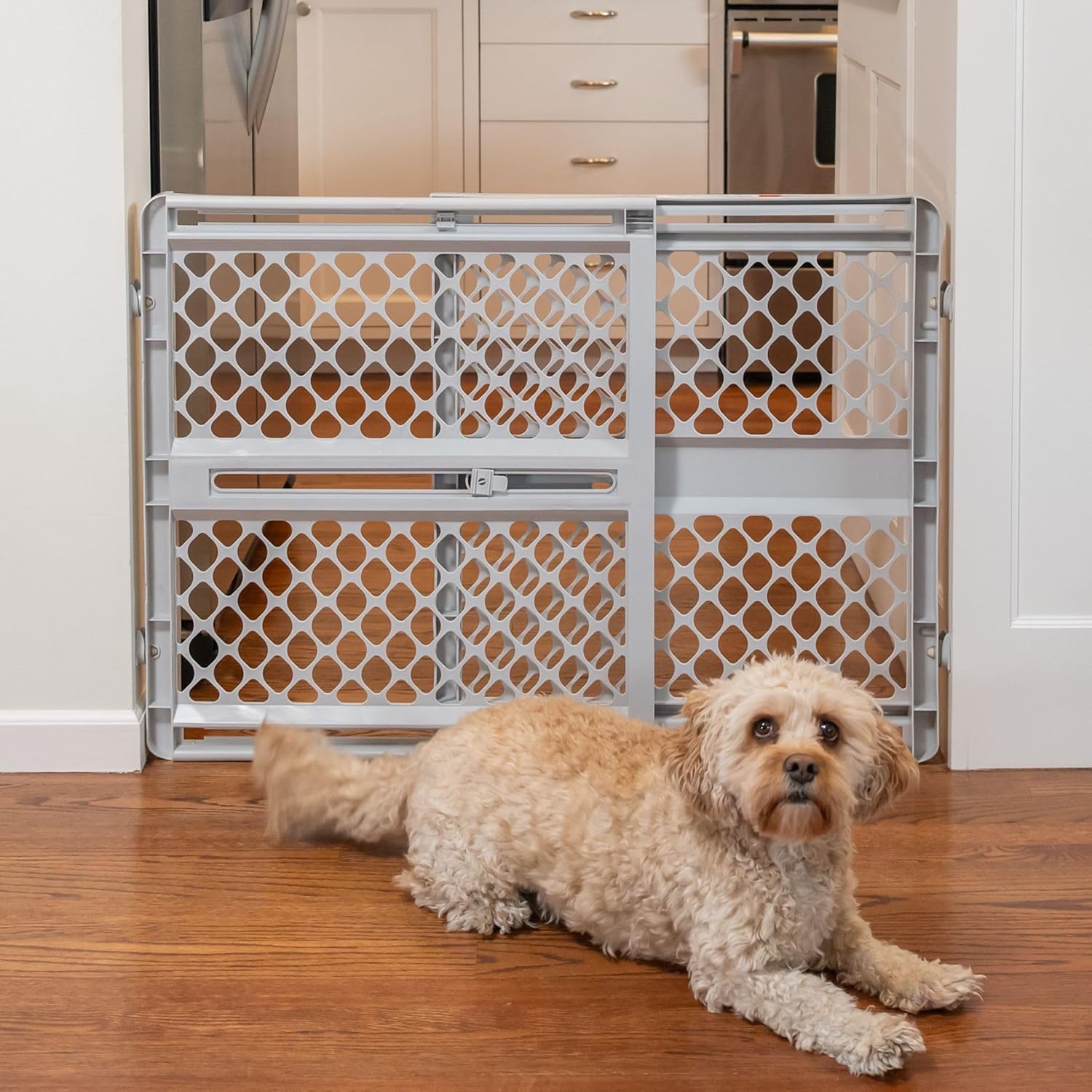 26-inch height suitable for small to medium dogs and cats