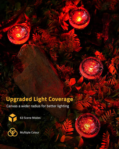 Aoycocr Smart Pathway Lights – Unique Housewarming and Birthday Gift for Women Who Love Outdoor Decor