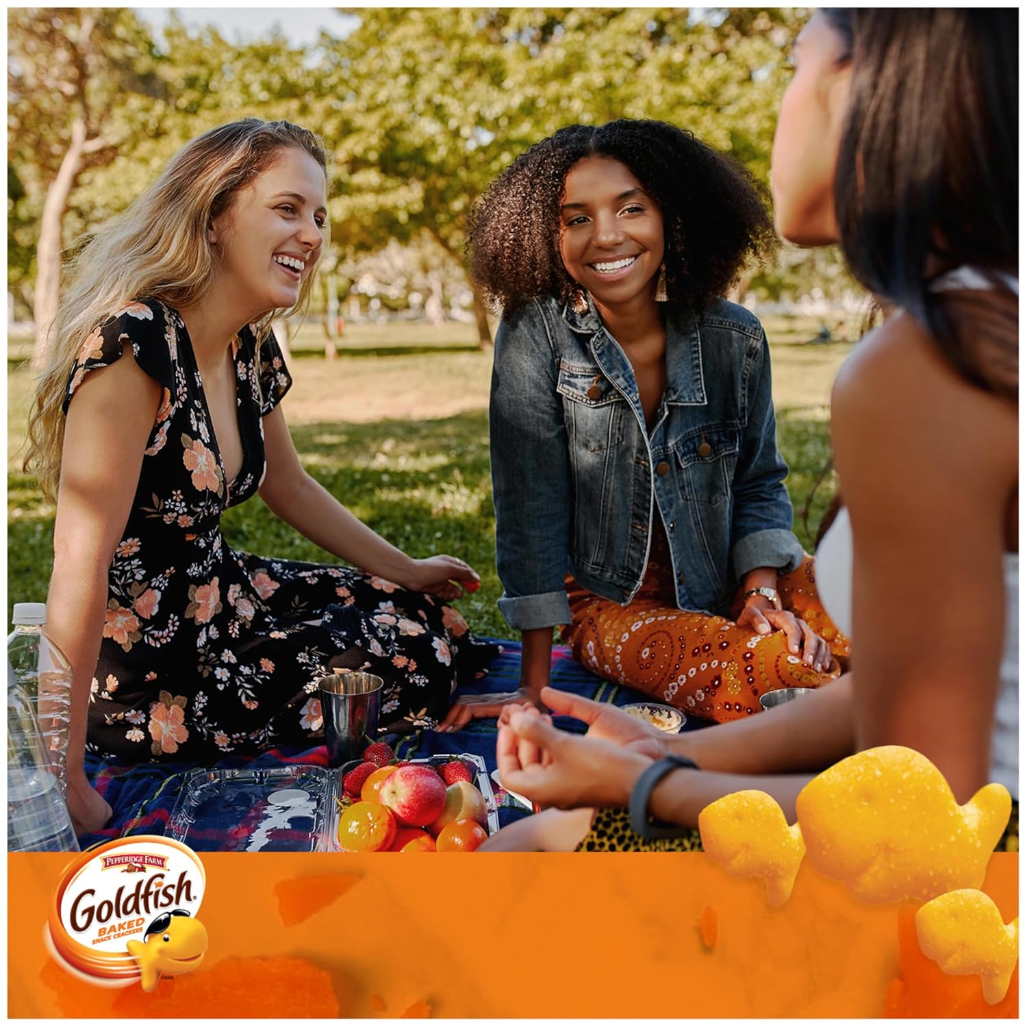 available in cheddar, colors cheddar, and flavor blasted extra cheddar varieties