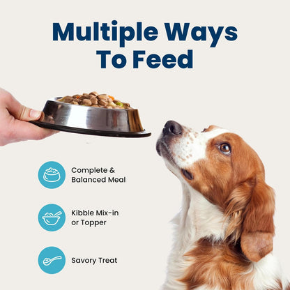Blue Buffalo Blue's Stew Hearty Beef & Country Chicken Canned Dog Food, High-End Pantry Staple for Gourmet Pet Dining