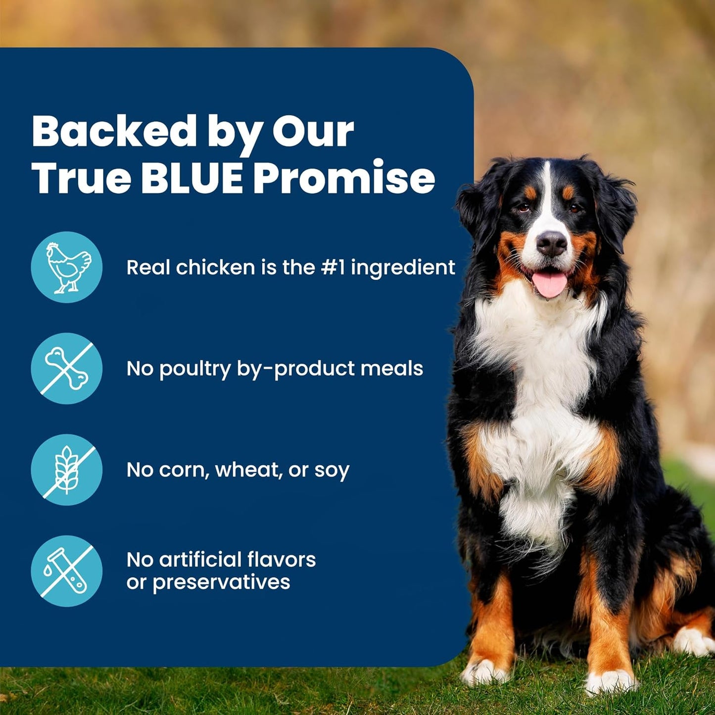 Blue Buffalo Life Protection Formula Chicken & Brown Rice Adult Dog Food – Holistic Wellbeing with Omega 3 & 6 and Antioxidant LifeSource Bits, 24 lb