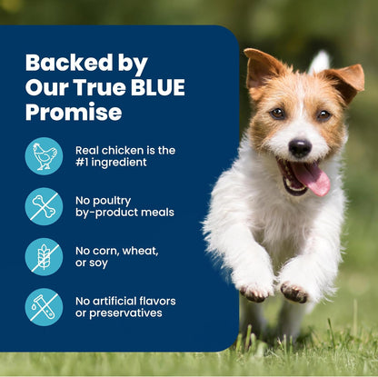 Blue Buffalo Life Protection Formula Chicken & Brown Rice – Holistic Adult Small Breed Dry Food Supporting Mobility, Skin, and Immune Health