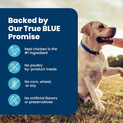 Blue Buffalo Senior Life Protection Chicken & Brown Rice Dog Food – Wellness Nutrition for Older Dogs with Omega Fatty Acids and Prebiotic Fiber, 15 lb