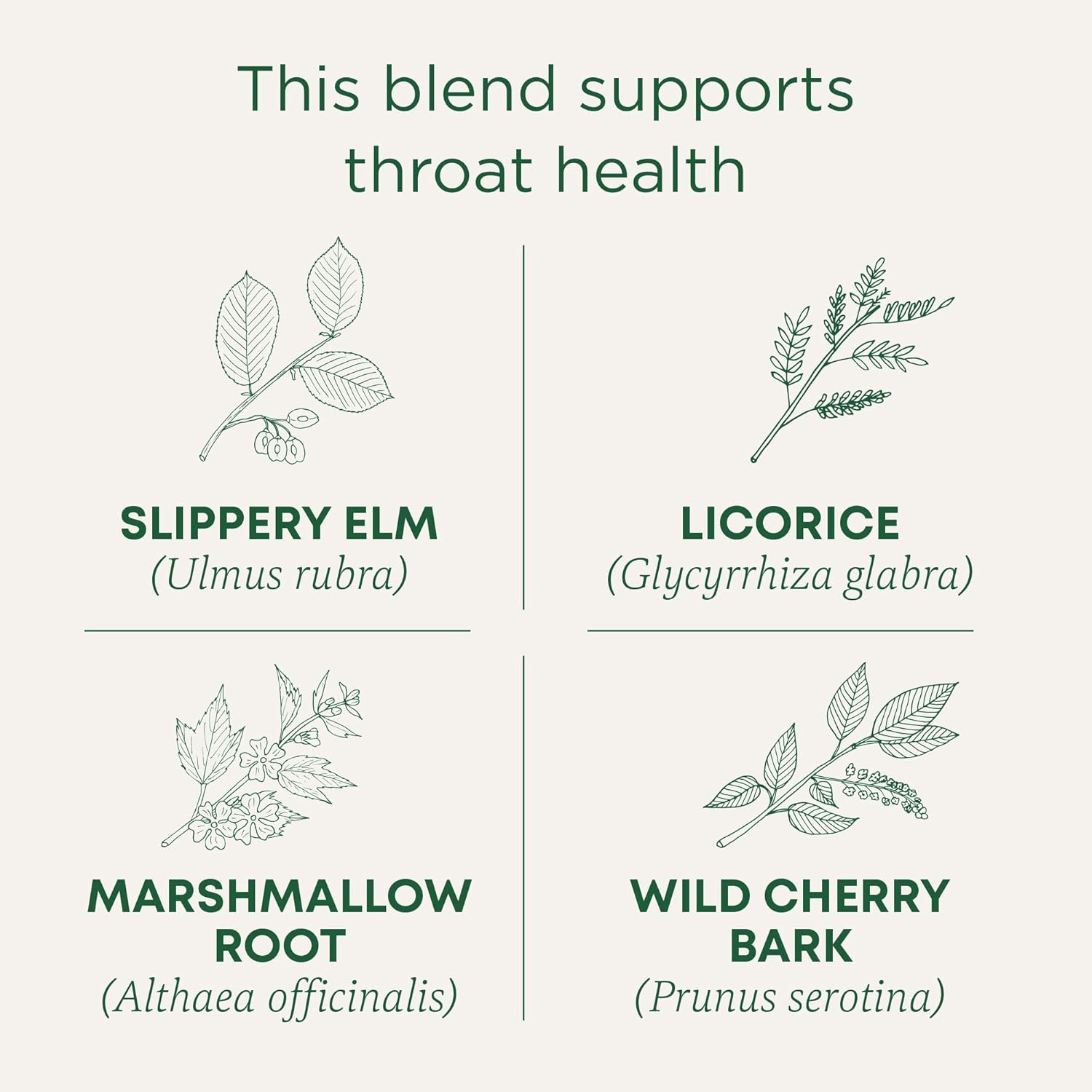 compostable tea bag material