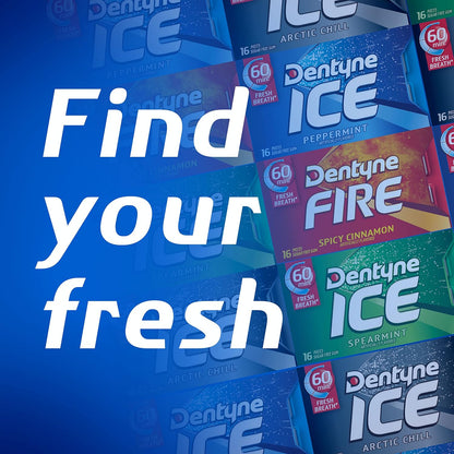Dentyne Ice Winter Chill Sugar-Free Chewing Gum – 144-Piece Office Supply for Shared Breakrooms and Cubicle Stashes