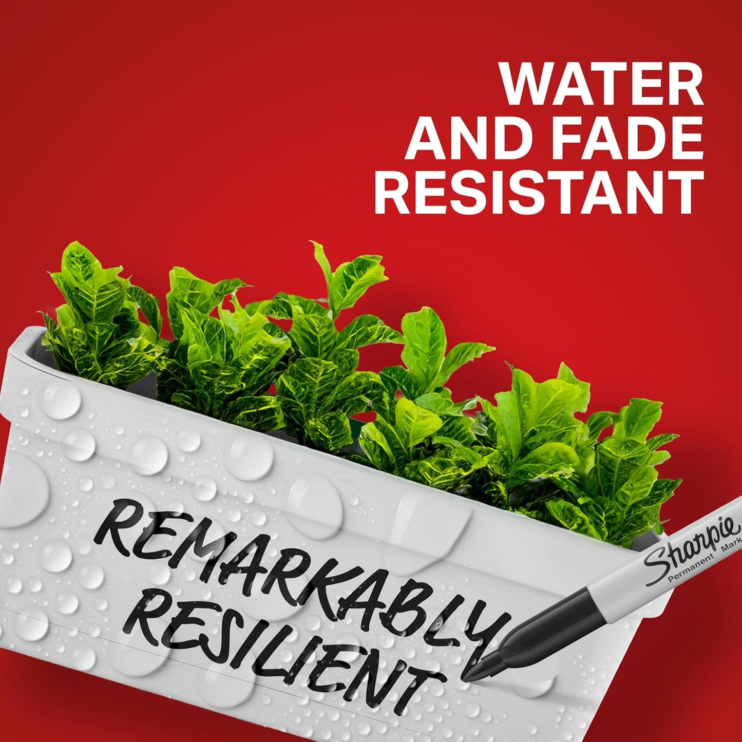fade-resistant and water-resistant ink formula