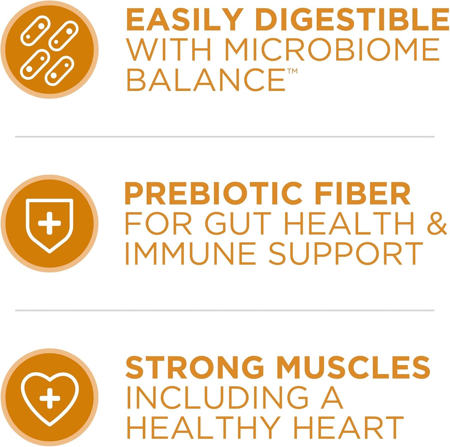 four antioxidant sources to strengthen the immune system
