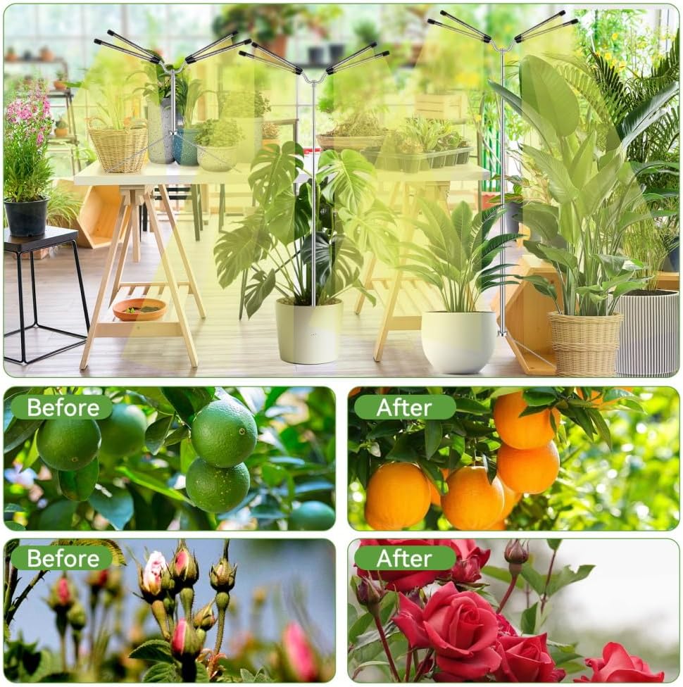 Full Spectrum Grow Light – Thoughtful Mother's Day Gift for Moms Who Love Houseplants, Timer Included