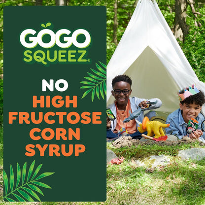GoGo squeeZ Fruit and Veggie Pures – Camping and Park Snack for Active Families, BPA Free Travel Pouches
