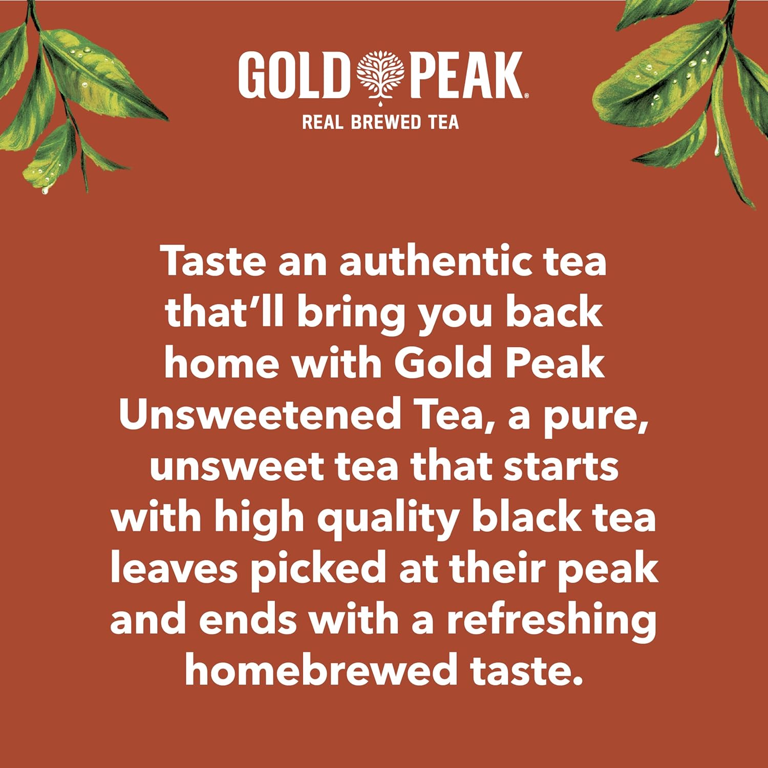 Gold Peak Real Brewed Tea – Refreshing Patio Companion for Outdoor Dining, 16.9 fl oz 6 Pack