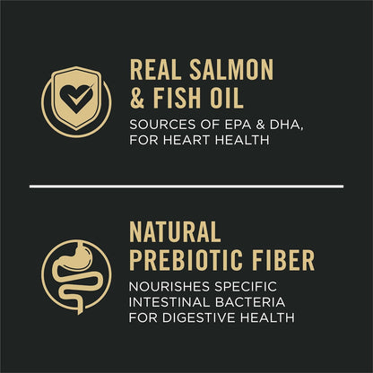 guaranteed live bacillus coagulans probiotics and prebiotic chicory root inulin