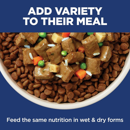 Hill's Science Diet Adult Sensitive Stomach & Skin Chicken, 30 lb | Prebiotic Wellness Kibble for Coat, Gut and Immunity