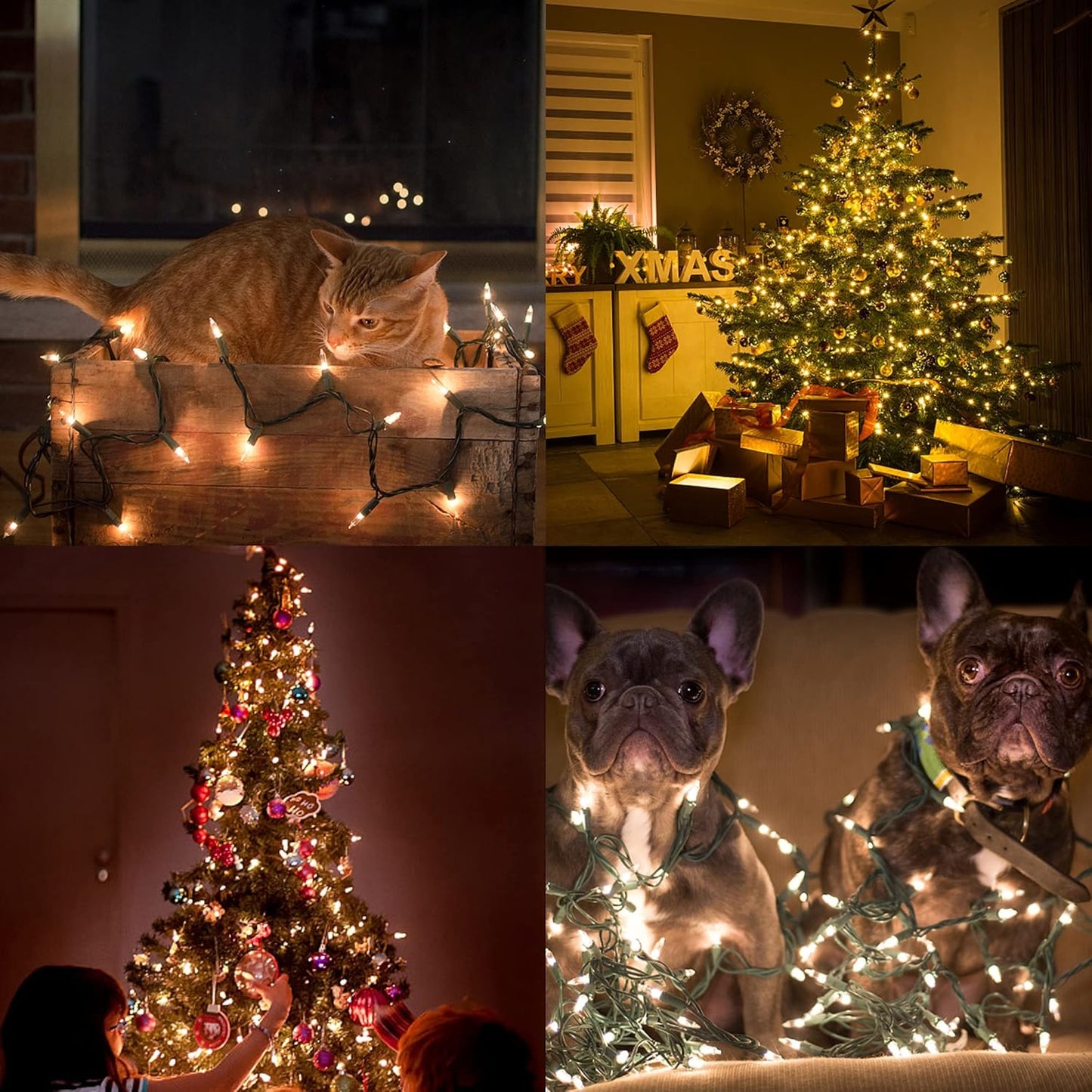 Indoor Christmas String Lights 29 ft Green Wire Incandescent Glow for Holiday Home Styling and Tree Trimming, Warm White
