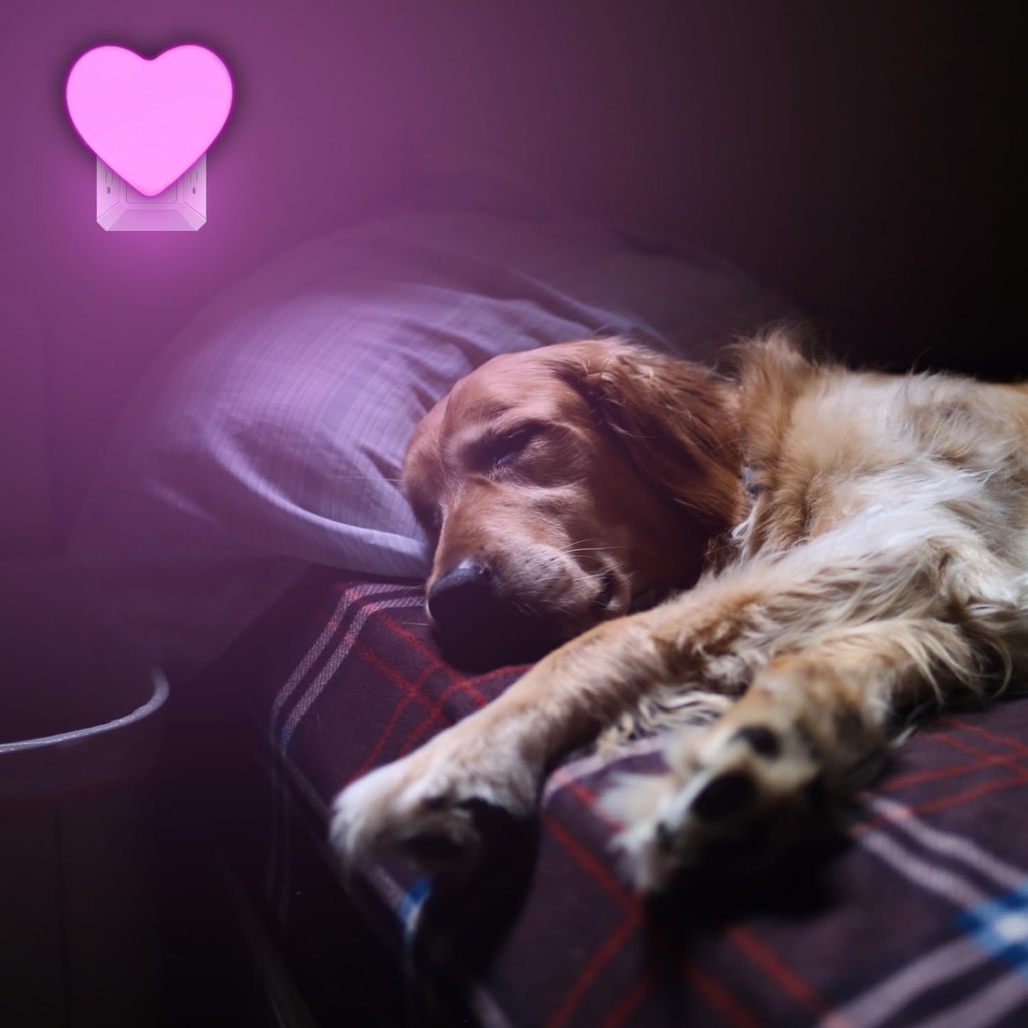 INZU Cute Heart Nightlight for Cozy Home Ambiance – Soft Warm LED Plug-in for Living Room and Bedroom Styling