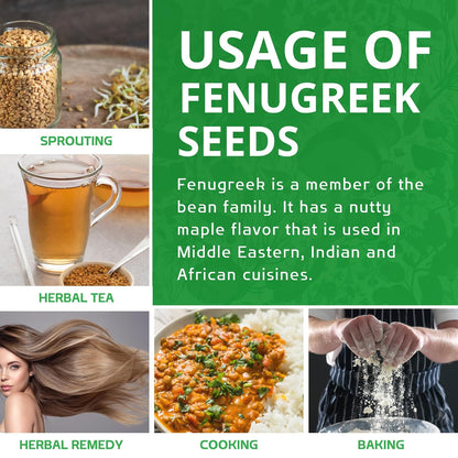 Jiva Organic Fenugreek Seeds 7 Ounce – Long-Lasting Aroma Methi Dana for Meditation Space, Yoga Room & Grounding Self-Care