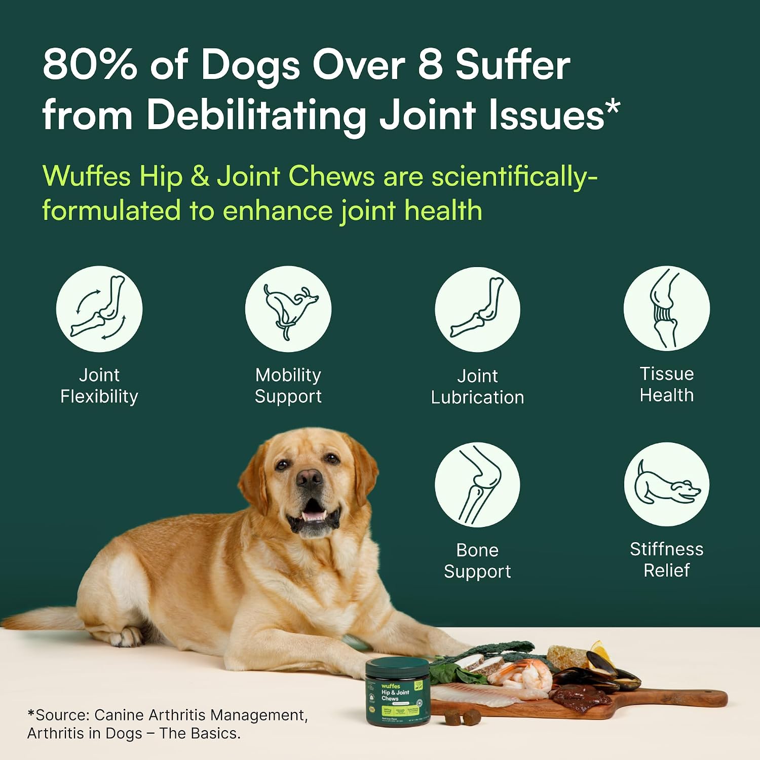 Large Breed Joint Supplement Chews – Daily Wellness Support for Hip and Joint Comfort