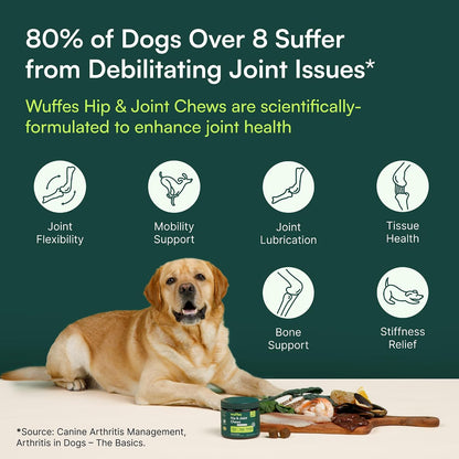 Large Breed Joint Supplement Chews – Daily Wellness Support for Hip and Joint Comfort