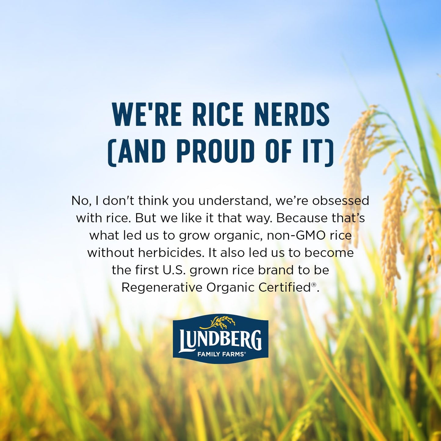 Lundberg Brown Basmati Rice – Pantry-Stable Organic Grain for Efficient Home Cooking