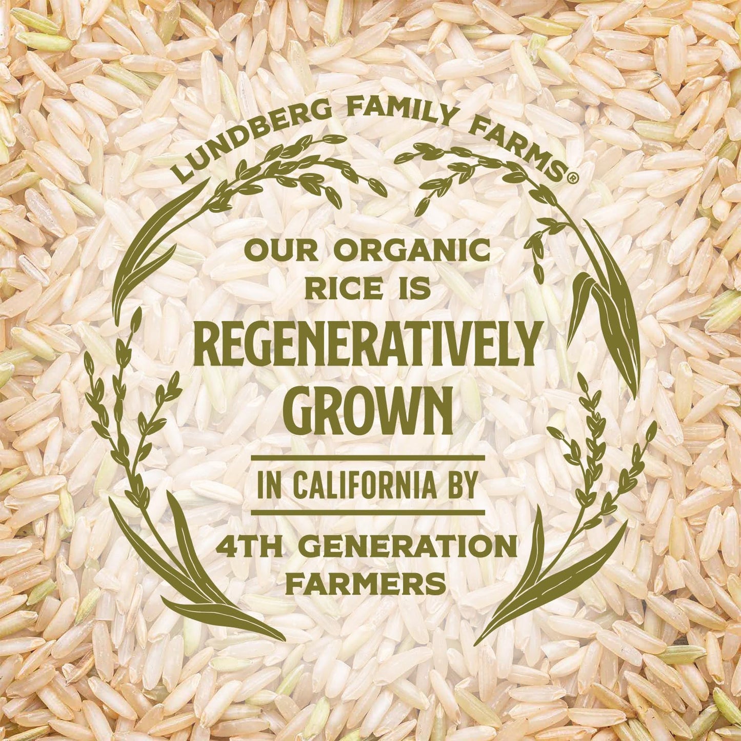 Lundberg Brown Basmati Rice – Pantry-Stable Organic Grain for Efficient Home Cooking