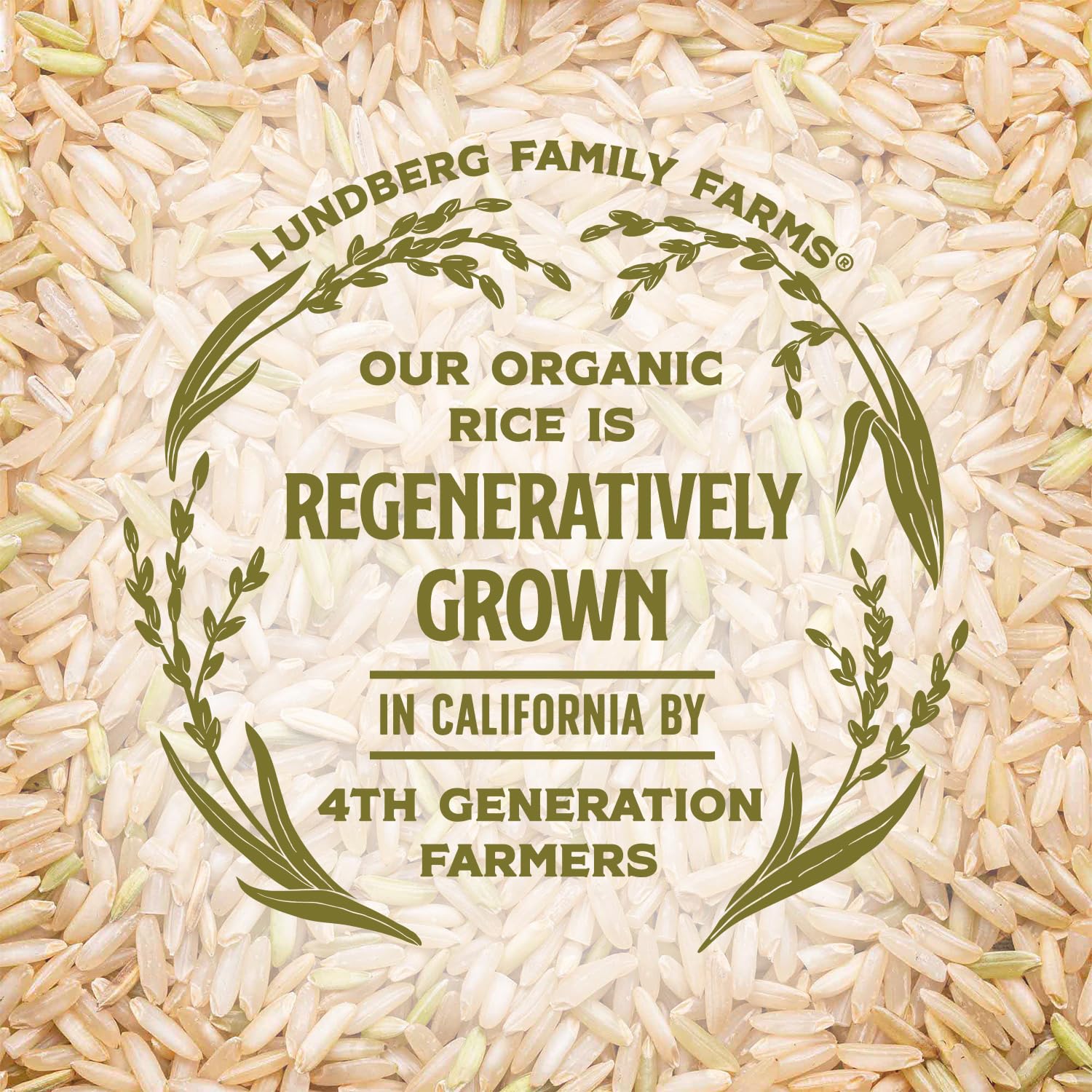Lundberg Brown Basmati Rice – Pantry-Stable Organic Grain for Efficient Home Cooking