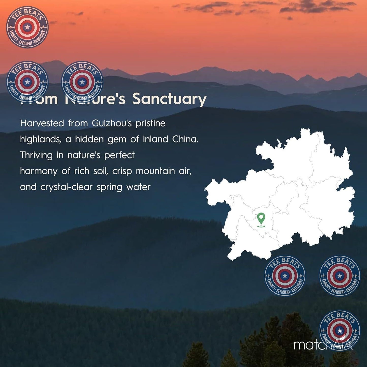 MatchAiA Culinary Matcha – One Pouch, Endless Clean Recipes for a Streamlined Counter