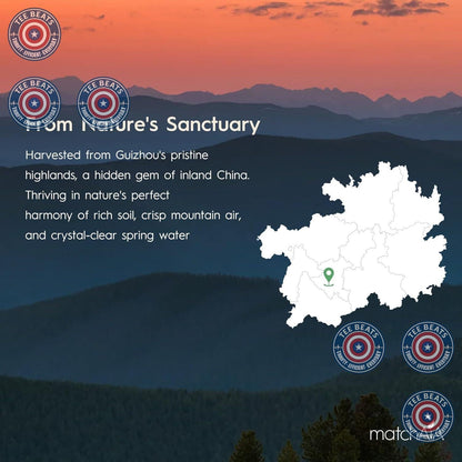 MatchAiA Culinary Matcha – One Pouch, Endless Clean Recipes for a Streamlined Counter