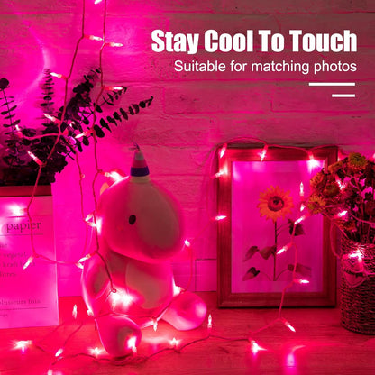 Minetom Pink Fairy Lights – Pet and Child Safe LED String, ETL-Certified 39ft Cool to the Touch Indoor Lights