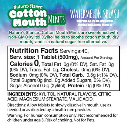 Nature's Stance Cotton Mouth Xylitol Mints – Sugar-Free Breath Lozenges for Public Speakers, Presenters, and Client-Facing Roles