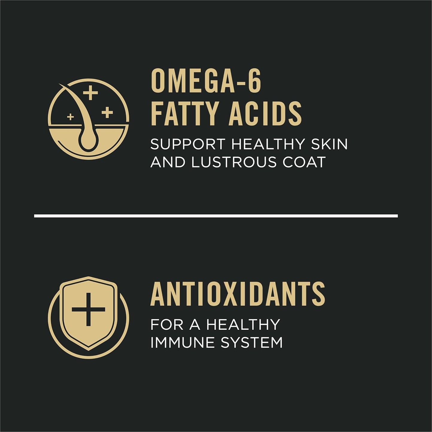 oatmeal and rice as easily digestible carbohydrate sources