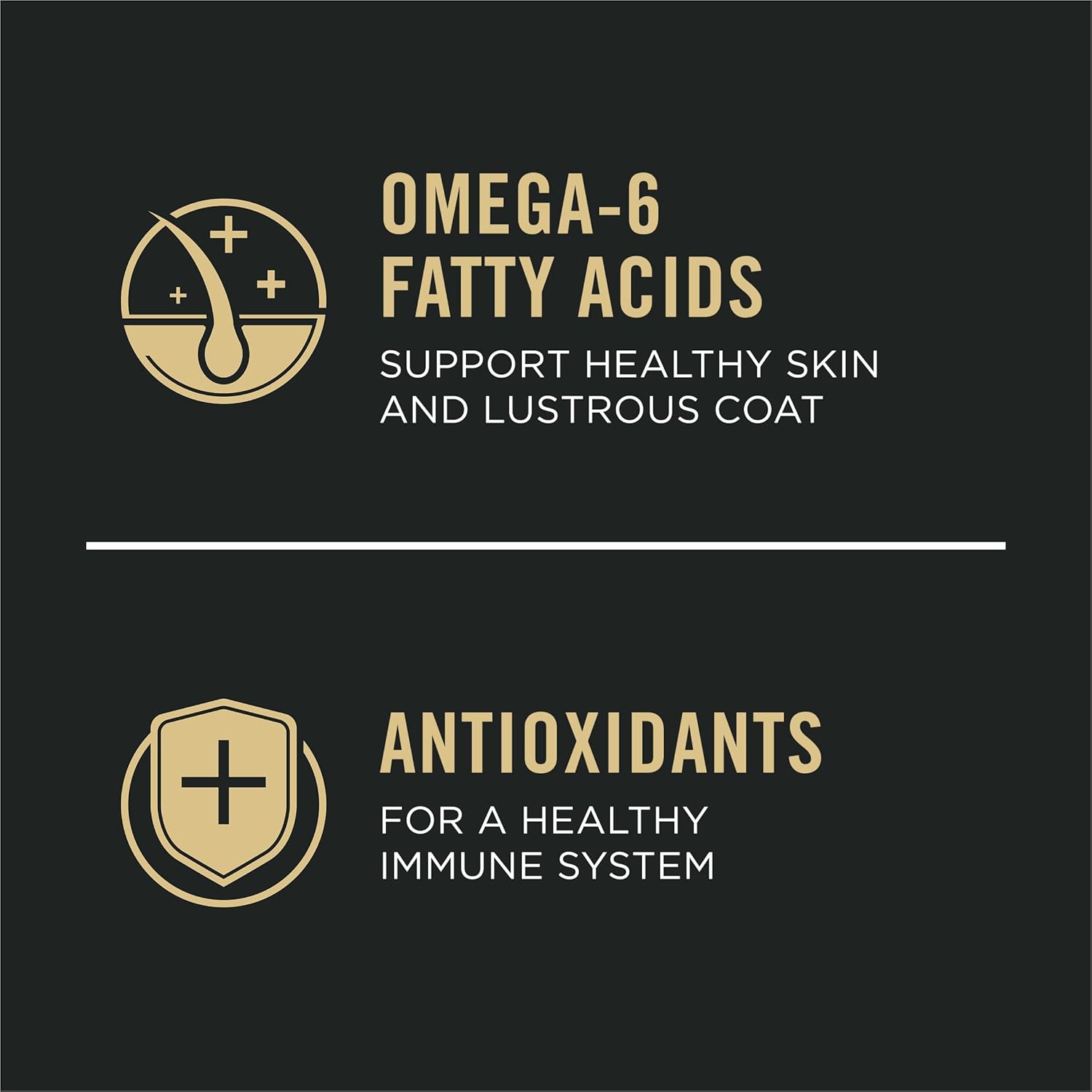 oatmeal and rice as easily digestible carbohydrate sources