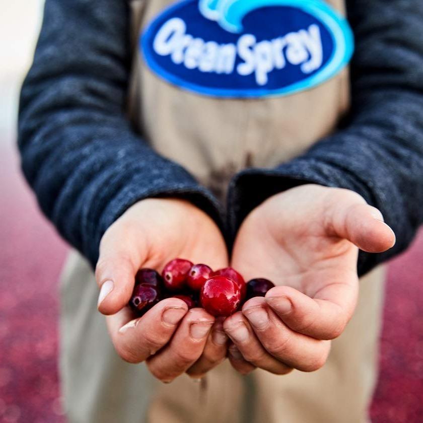 Ocean Spray Cran-Energy Cranberry Raspberry Energy Juice Drink for Car Cup Holders and Travel Friendly Energy