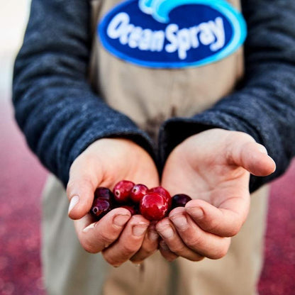 Ocean Spray Cran-Energy Cranberry Raspberry Energy Juice Drink for Car Cup Holders and Travel Friendly Energy