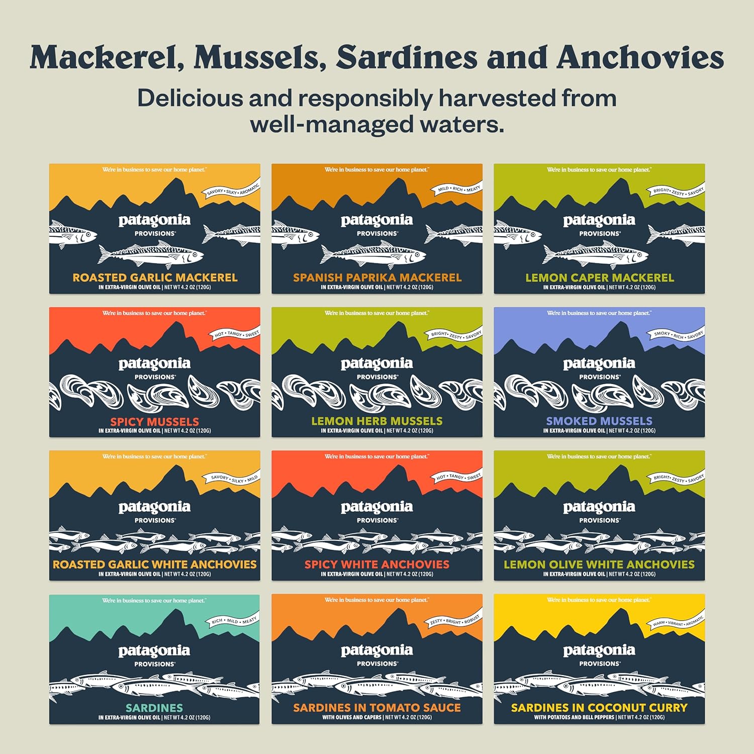 Patagonia Provisions Mussels in Olive Oil – Nutrient Dense Staple for Health Kitchen