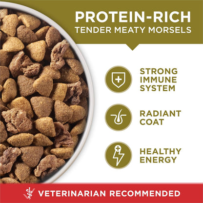 Purina ONE Lamb and Rice Adult Dog Food - Microbiome Balance for Gut and Immune Health, 8 lb. Bag