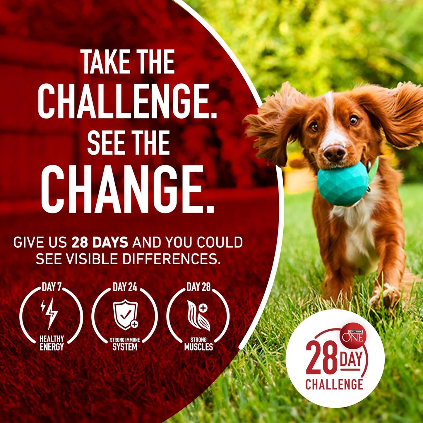 Purina ONE Lamb and Rice Adult Dog Food - Microbiome Balance for Gut and Immune Health, 8 lb. Bag