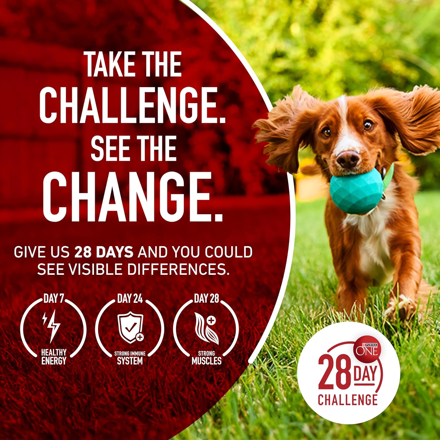 Purina ONE Lamb and Rice Adult Dog Food - Microbiome Balance for Gut and Immune Health, 8 lb. Bag