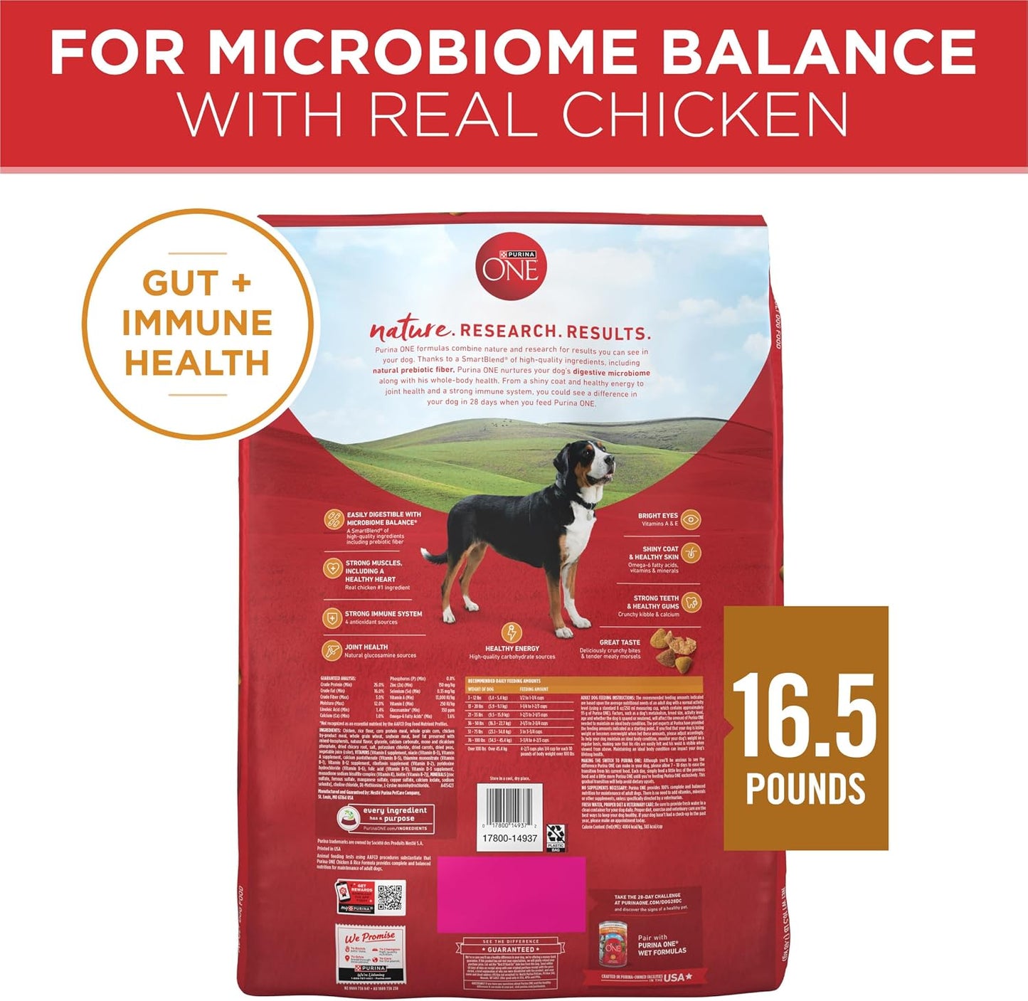 Purina ONE SmartBlend Adult Dog Food with Real Chicken – Glucosamine Joint Support and Omega-6 Skin Care, 8 lb Bag