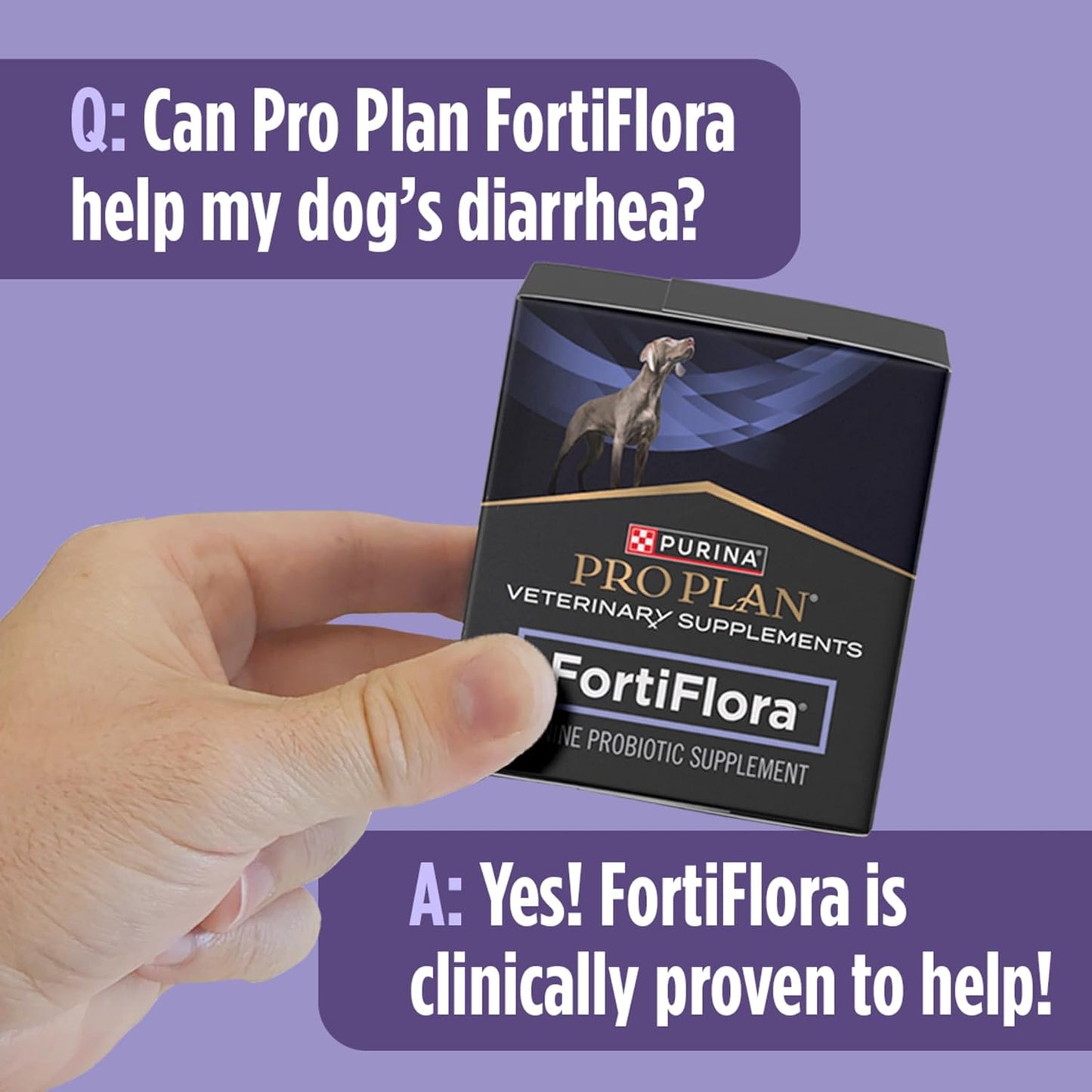 Purina Pro Plan FortiFlora Powder for Dogs – Mindful Daily Gut Health Support for Puppies and Adult Dogs