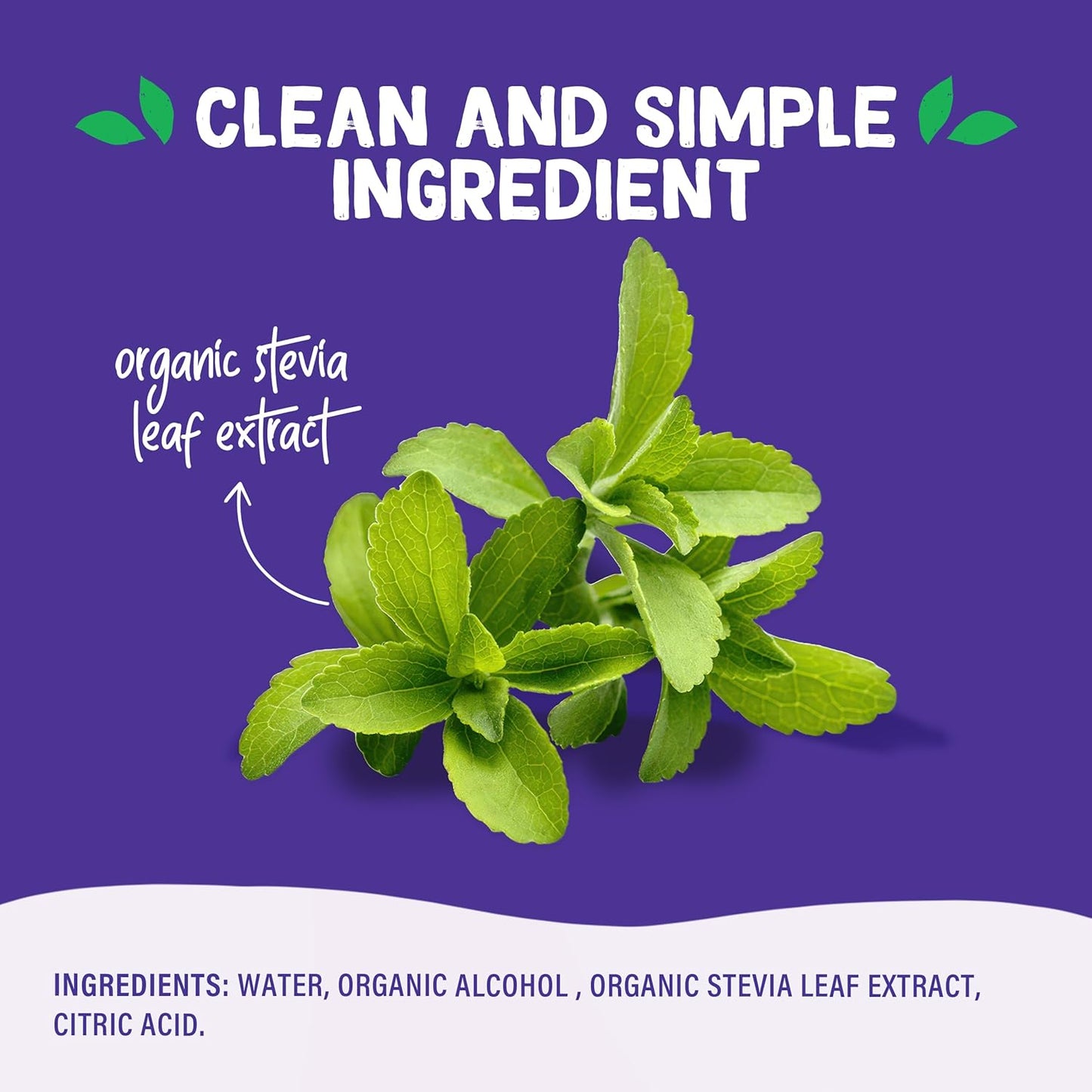 Pyure Organic Stevia Extract – Less Is More Sweetener for Clean Modern Kitchens