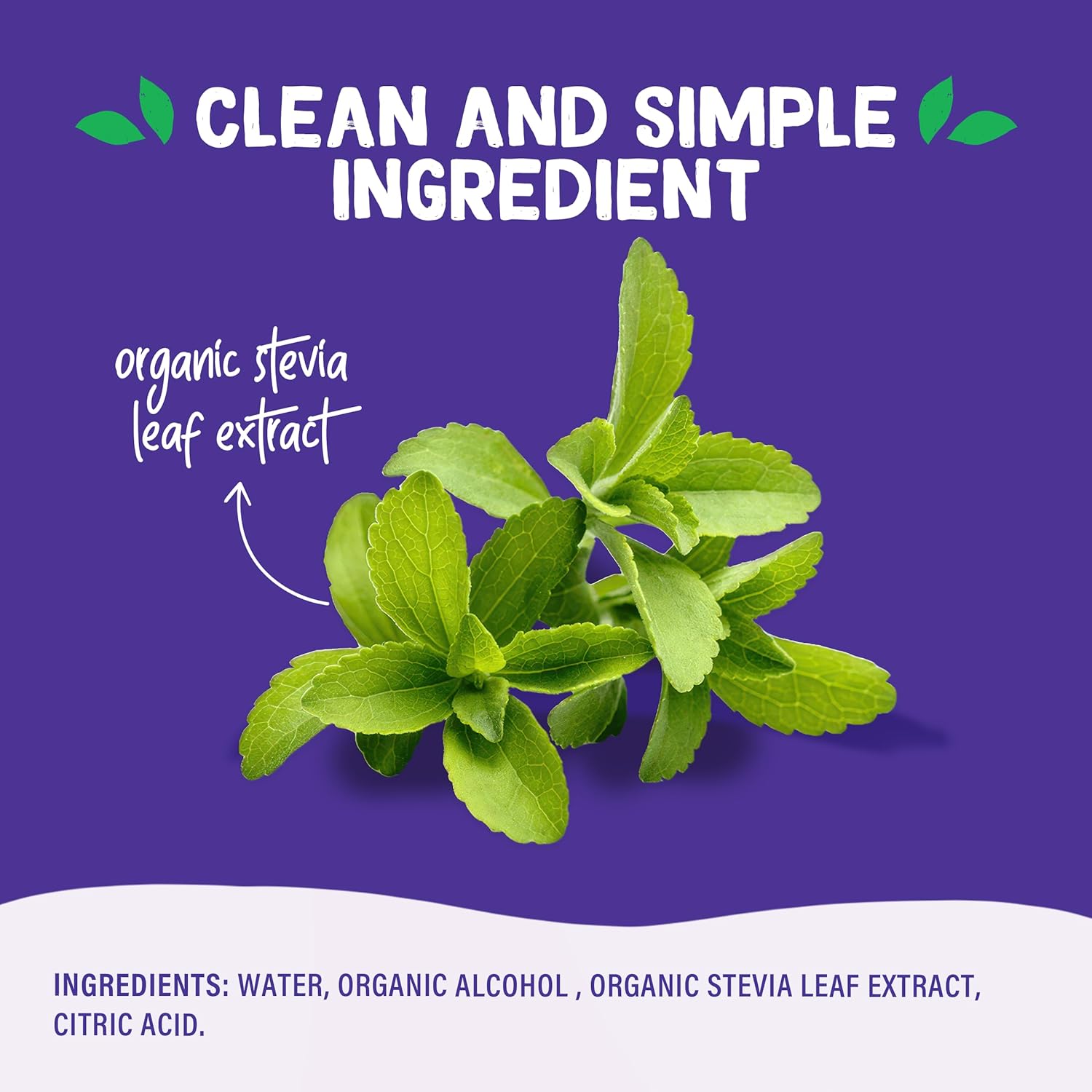 Pyure Organic Stevia Extract – Less Is More Sweetener for Clean Modern Kitchens