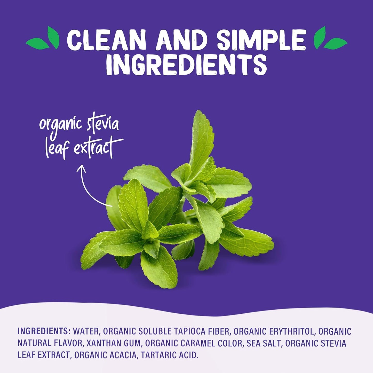 Pyure Organic Vegan Caramel Topping – Guilt-Free Drizzle for Matcha, Coffee, and Quiet Morning Wind-Downs