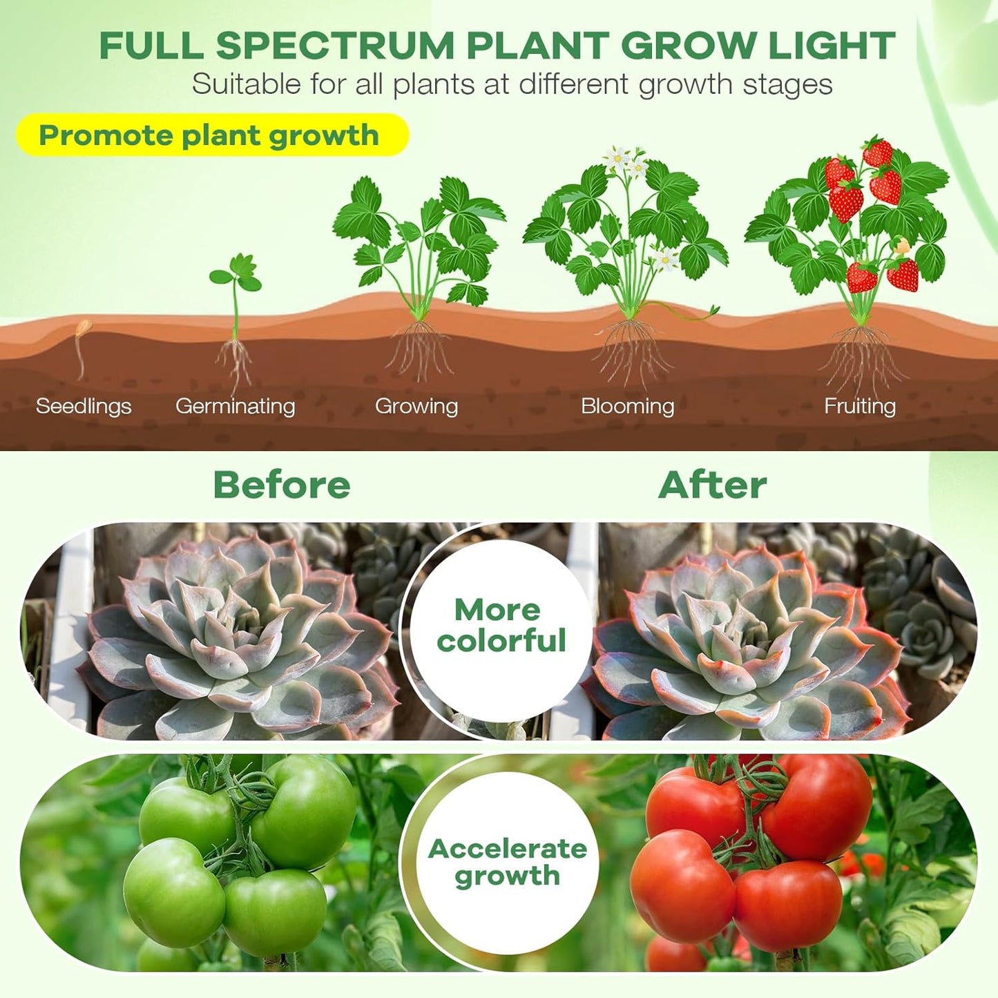 SANSI 4-Head Plant Lamp – Clean-Lined Indoor Grow Light for Neutral-Toned Minimalist Interiors