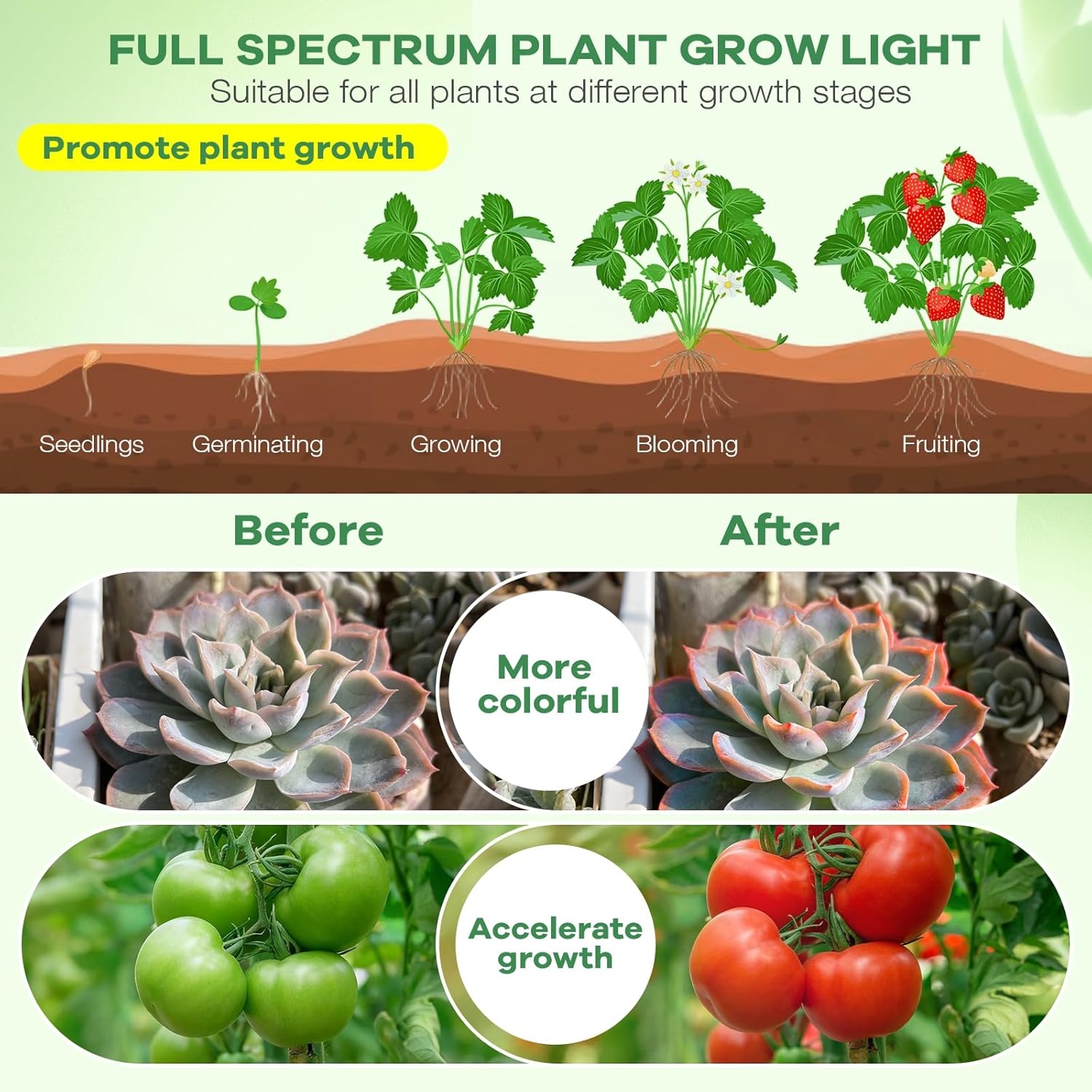SANSI 4-Head Plant Lamp – Clean-Lined Indoor Grow Light for Neutral-Toned Minimalist Interiors