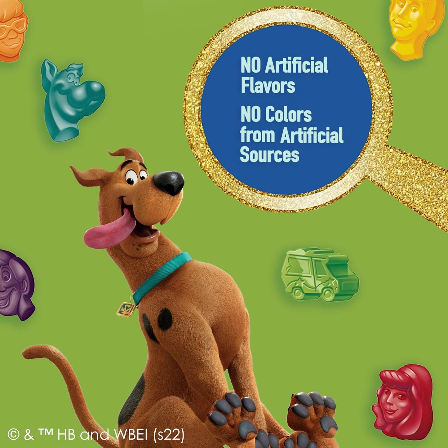 Scooby-Doo Fruit Flavored Snacks Gluten Free 22 Pouches No Artificial Colors Fat Free Pantry Staple