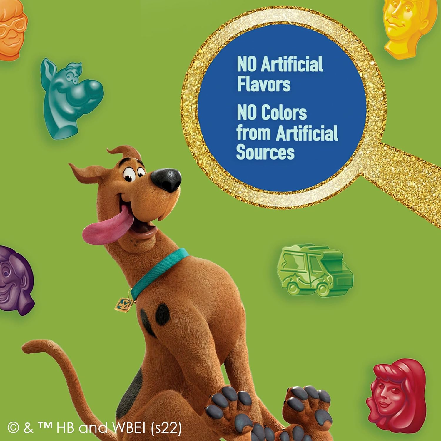 Scooby-Doo Fruit Flavored Snacks Gluten Free 22 Pouches No Artificial Colors Fat Free Pantry Staple